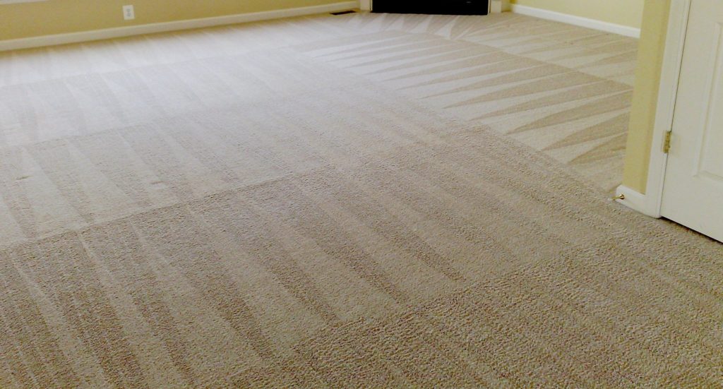 carpet cleaning Oregon City OR 1024x551 1