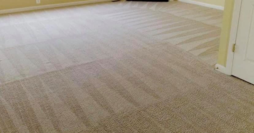 carpet cleaning Portland OR 1