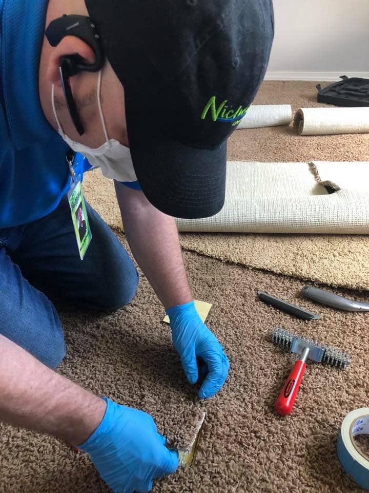 carpet restretch services in Canby OR