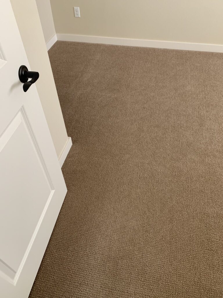 carpet cleaning near me