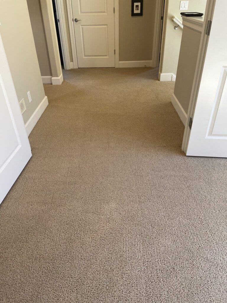 carpet cleaning near me 1 1