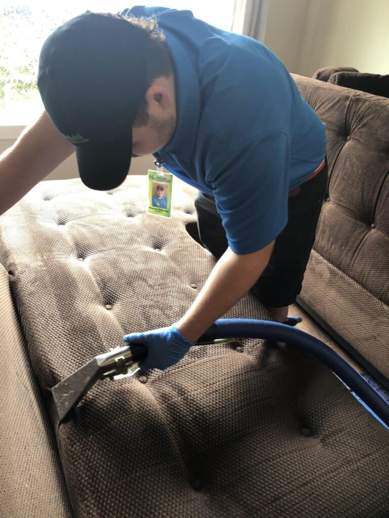 upholstery cleaner